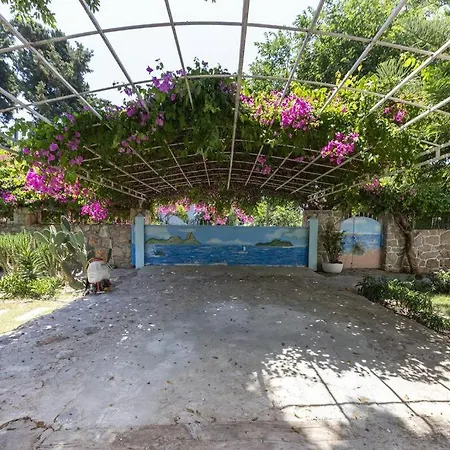 1 Bedroom House With Private Garden And Pool In Daire